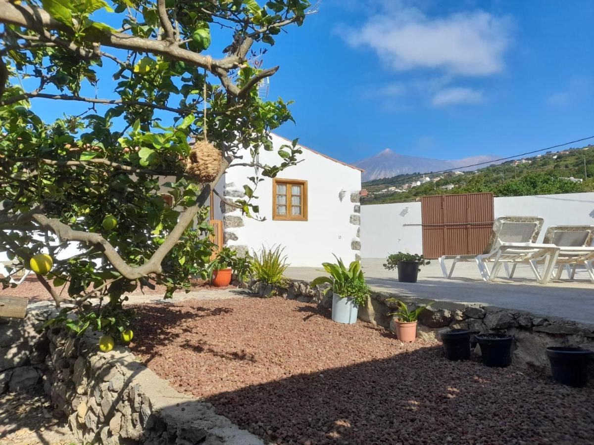 La Casa Del Bisa Vila Genovés Exterior foto