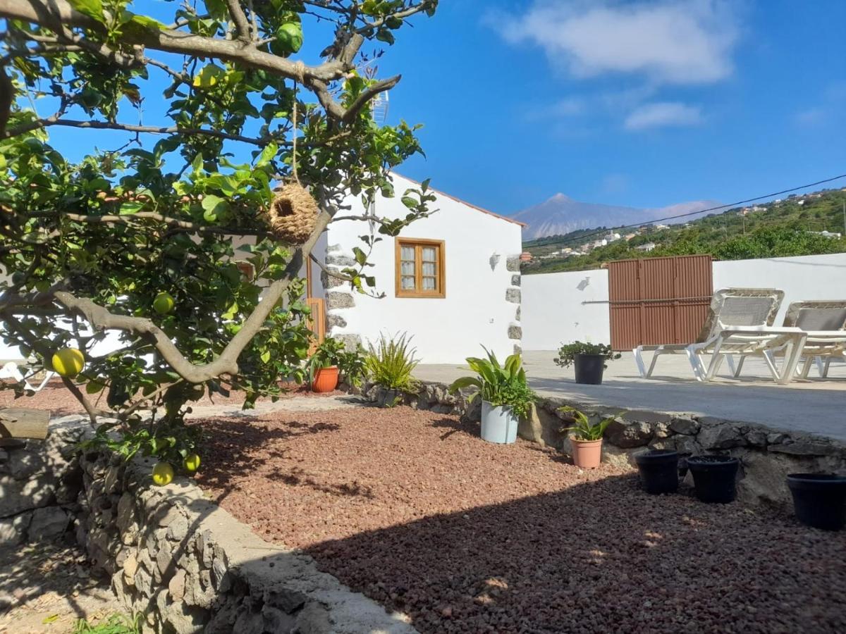 La Casa Del Bisa Vila Genovés Exterior foto